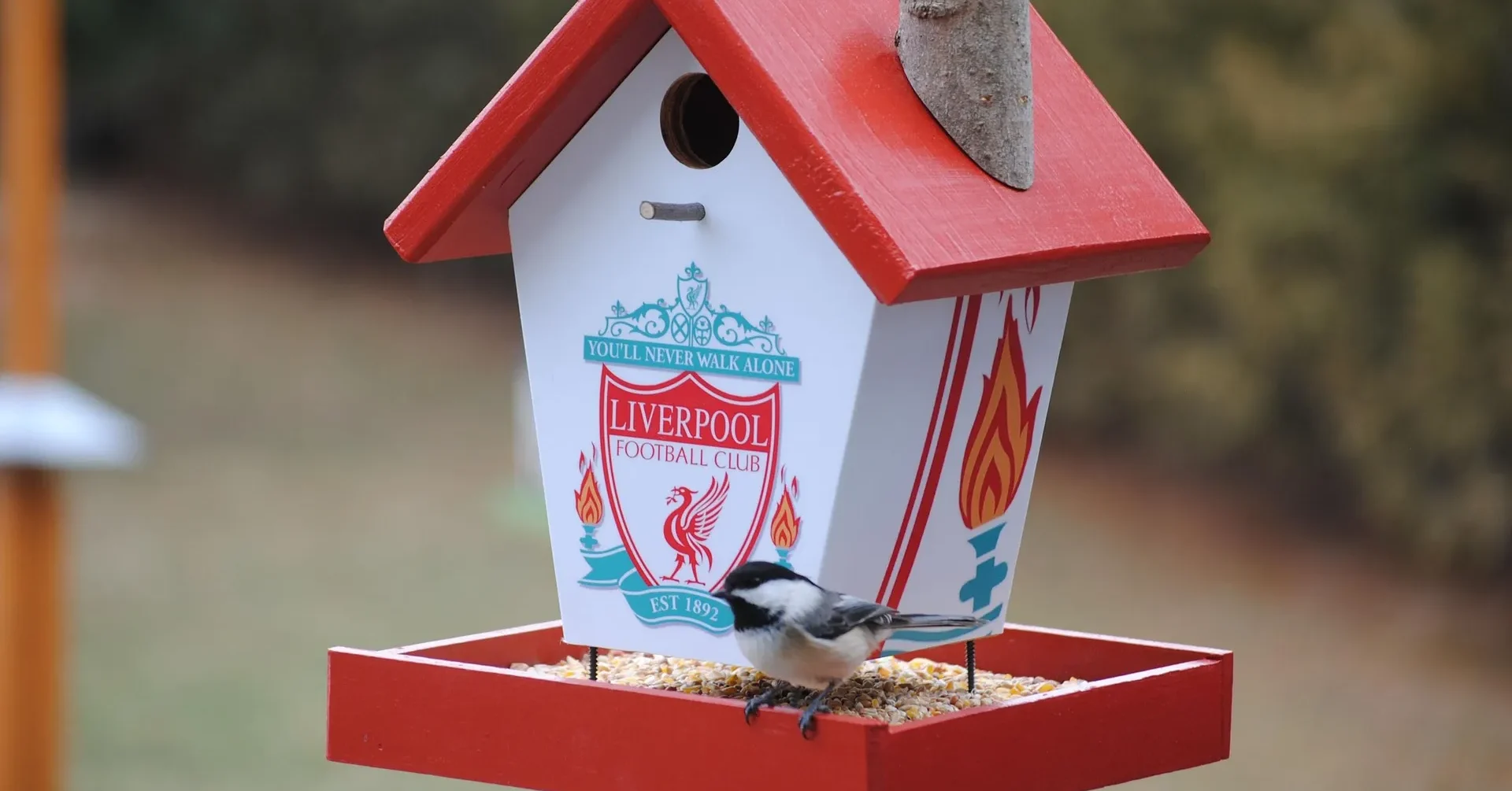 lower breck football club